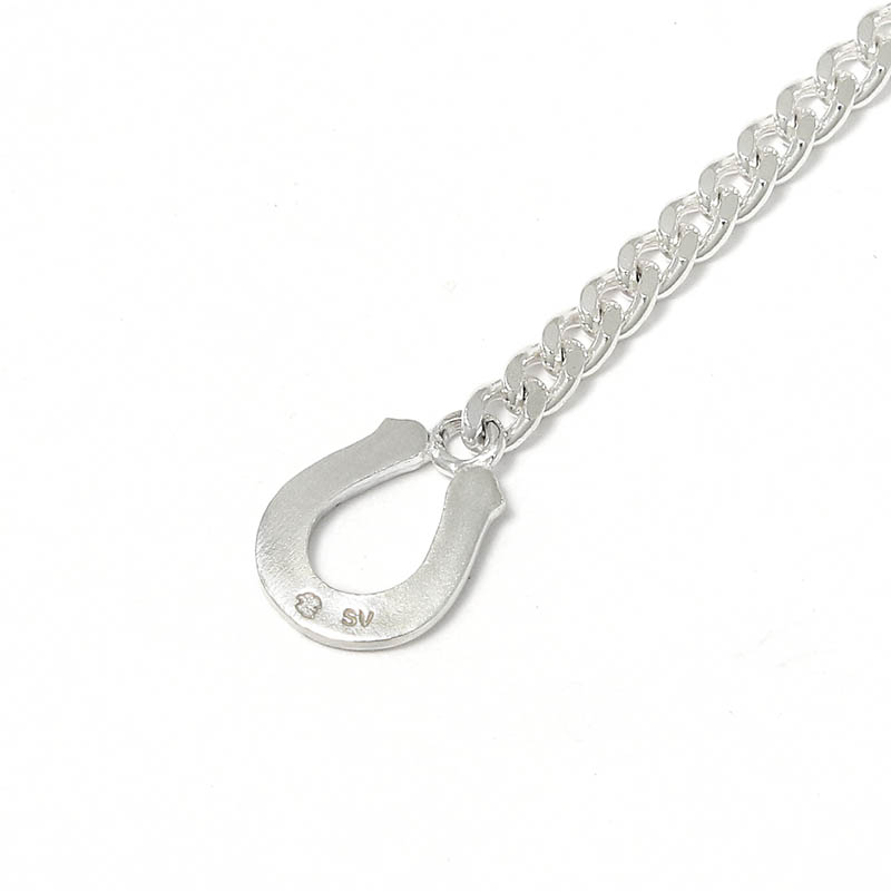 Classic Chain Necklace w/Horseshoe