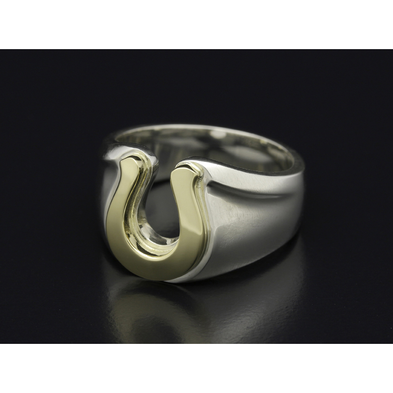 Horseshoe Amulet Combination Ring - Silver×Brass