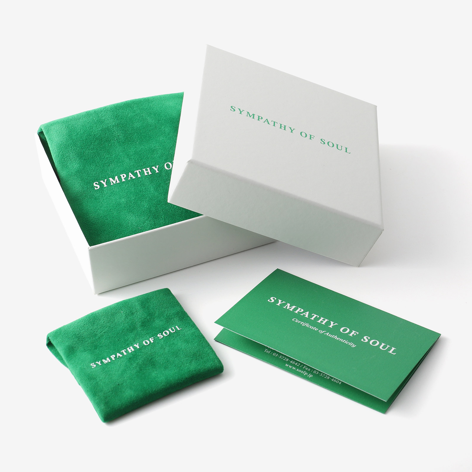 シンパシーオブソウル付属品