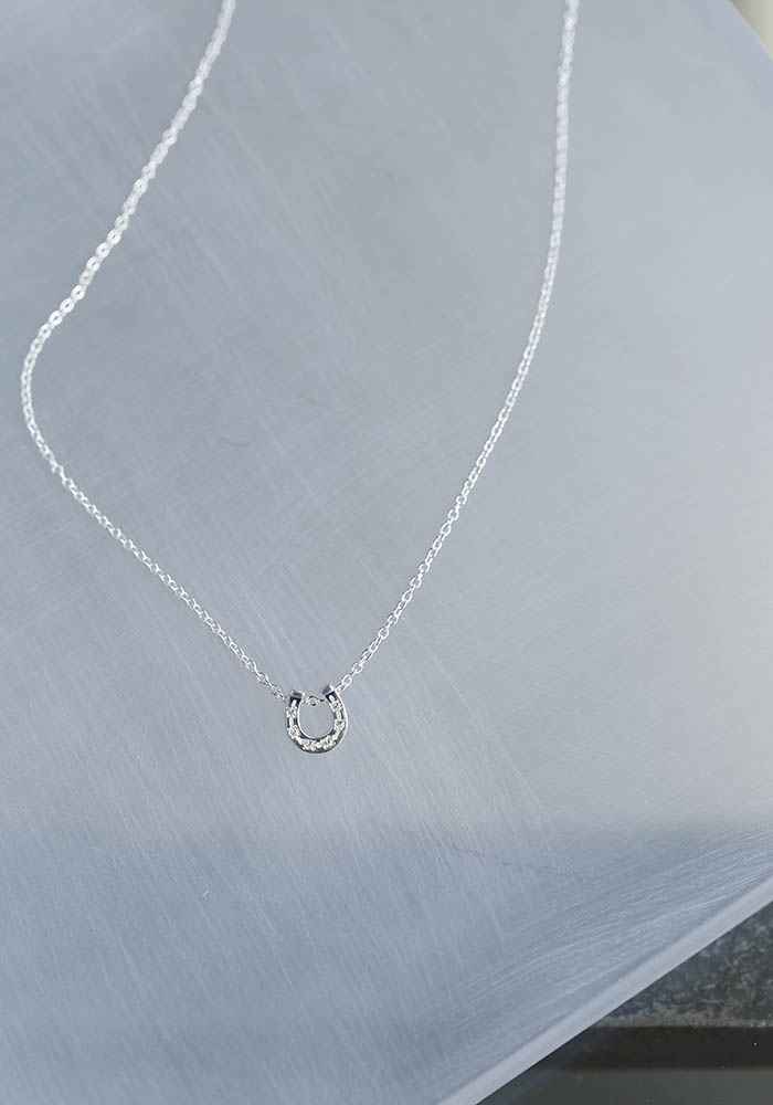 LG Diamond Horseshoe Necklace