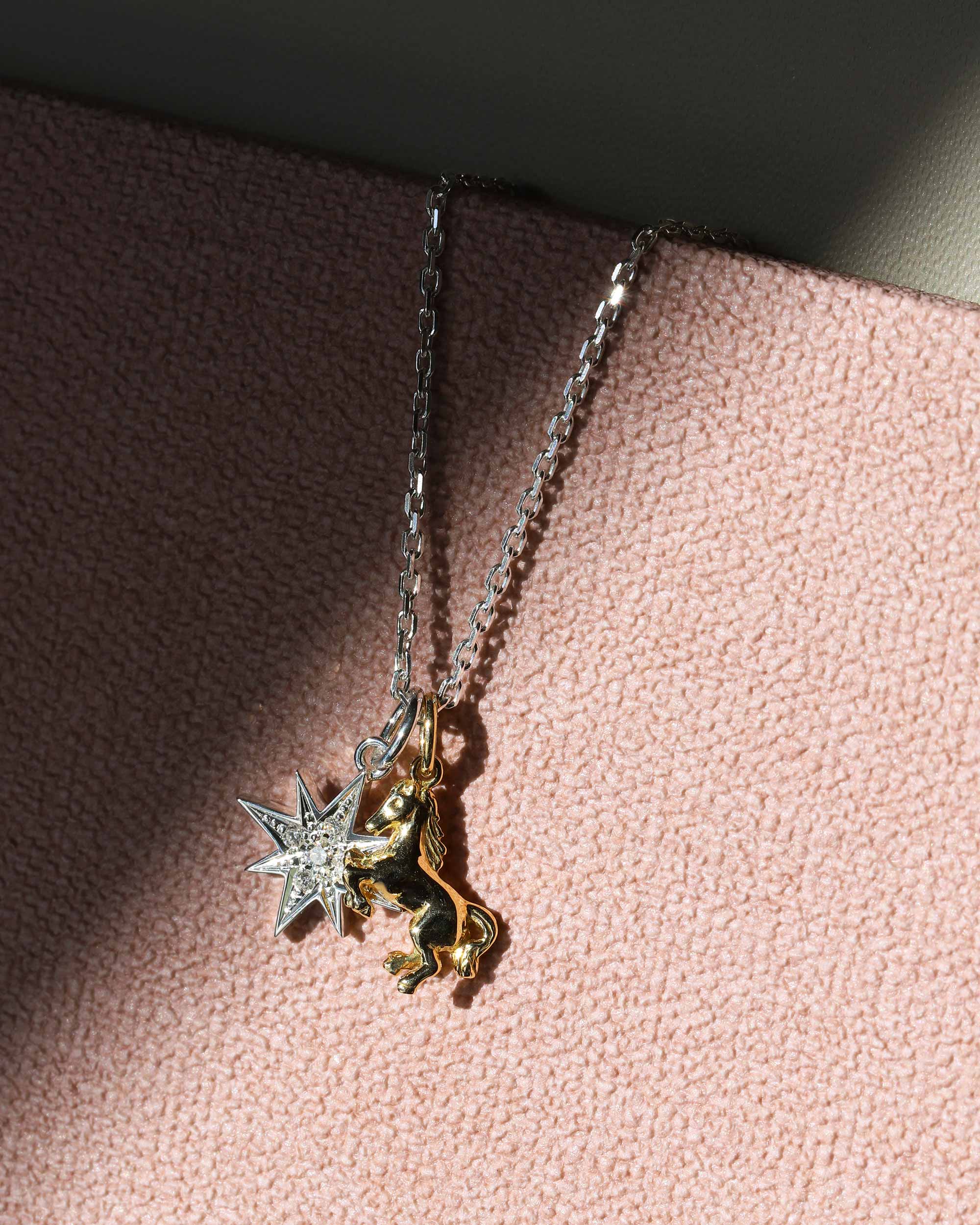 気品を高める、跳ね馬×スター