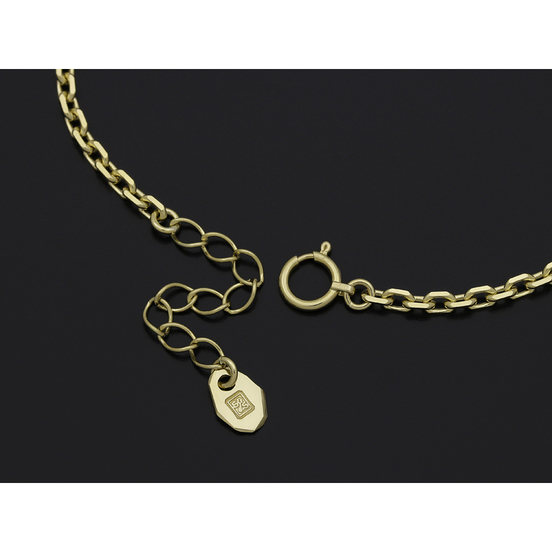 Horseshoe Amulet Chain Bracelet - K18Yellow Gold