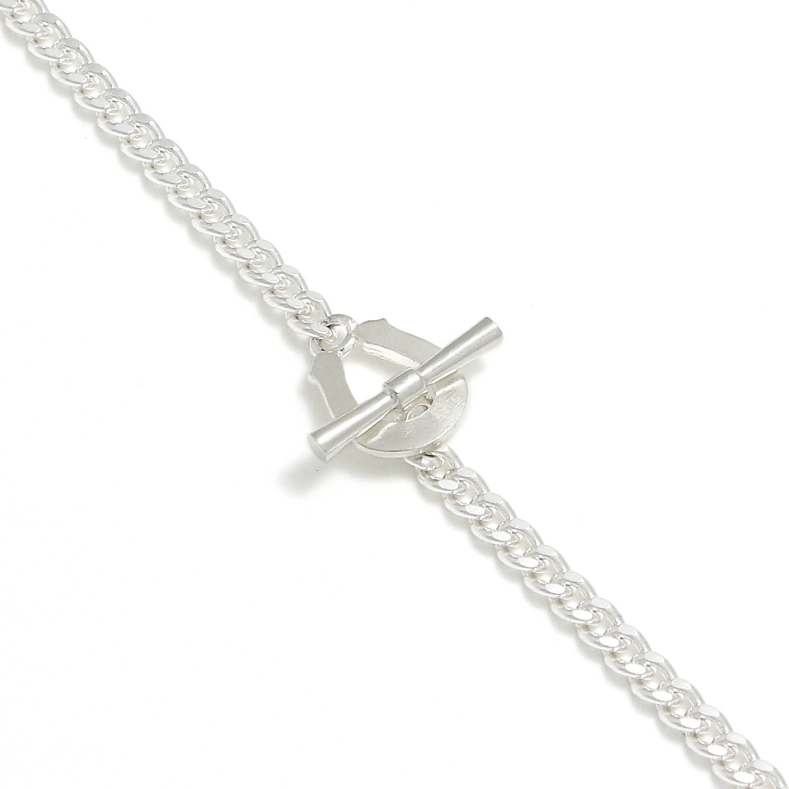 Classic Chain Necklace w/Horseshoe