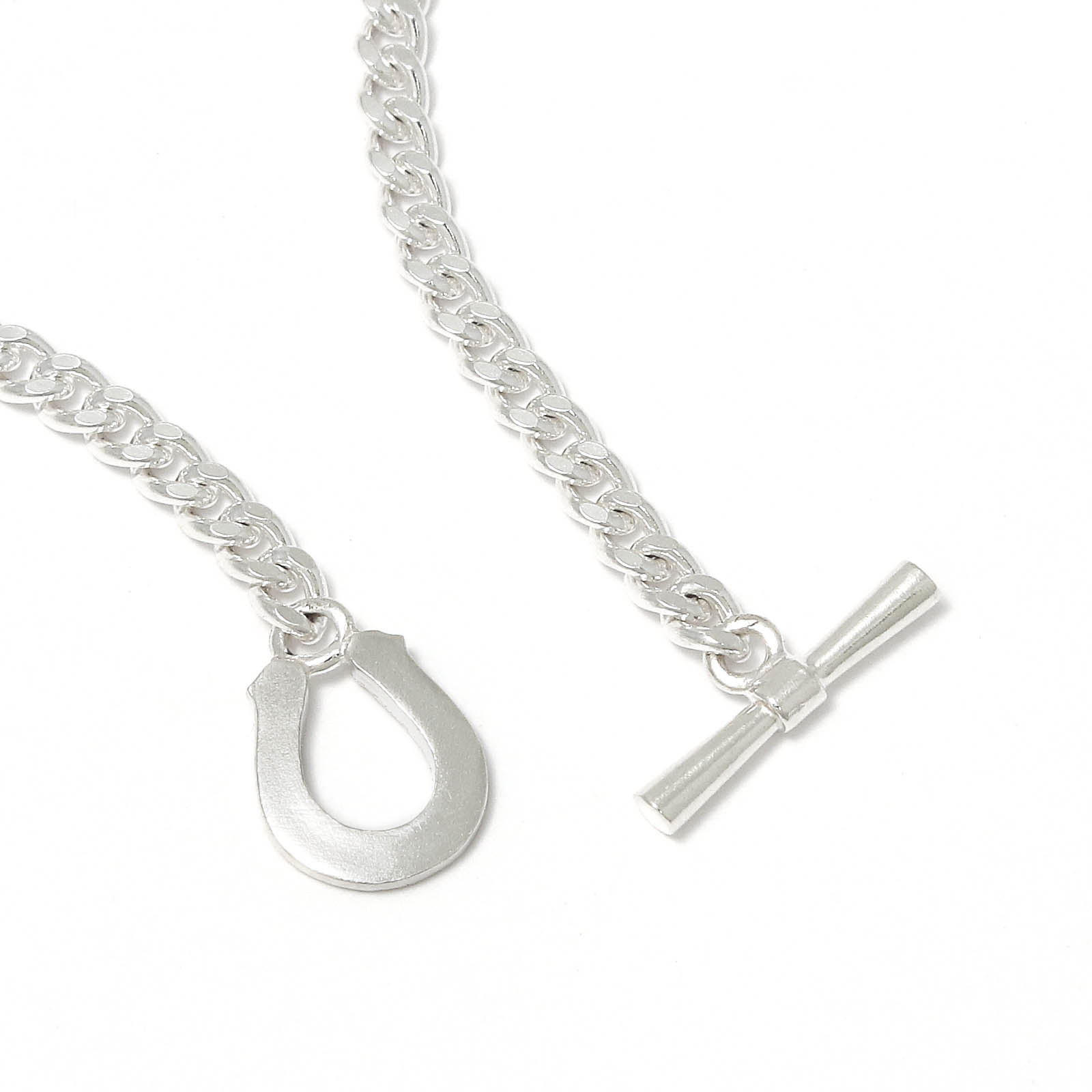 Classic Chain Necklace w/Horseshoe