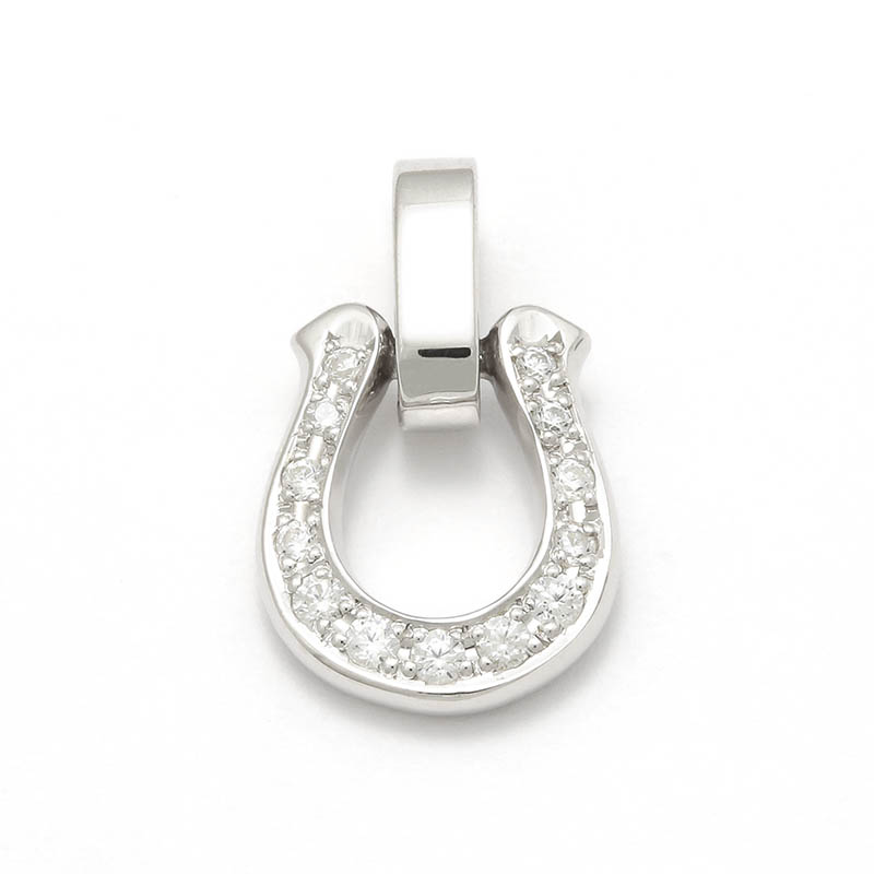 Horseshoe Amulet w/Clear