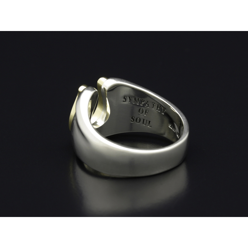 Horseshoe Amulet Combination Ring - Silver×Brass